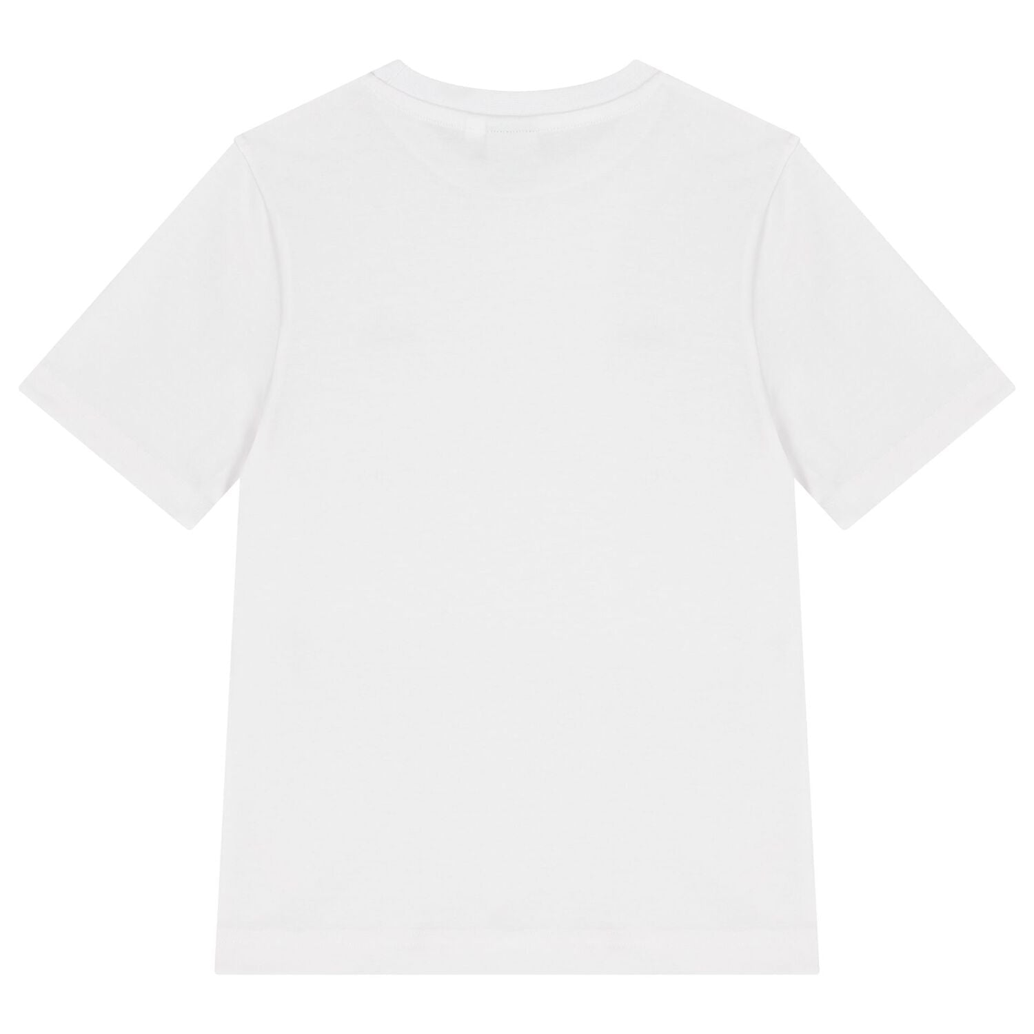 BossLogo T-Shirts (2 Pack)3617165699962SAVANNA