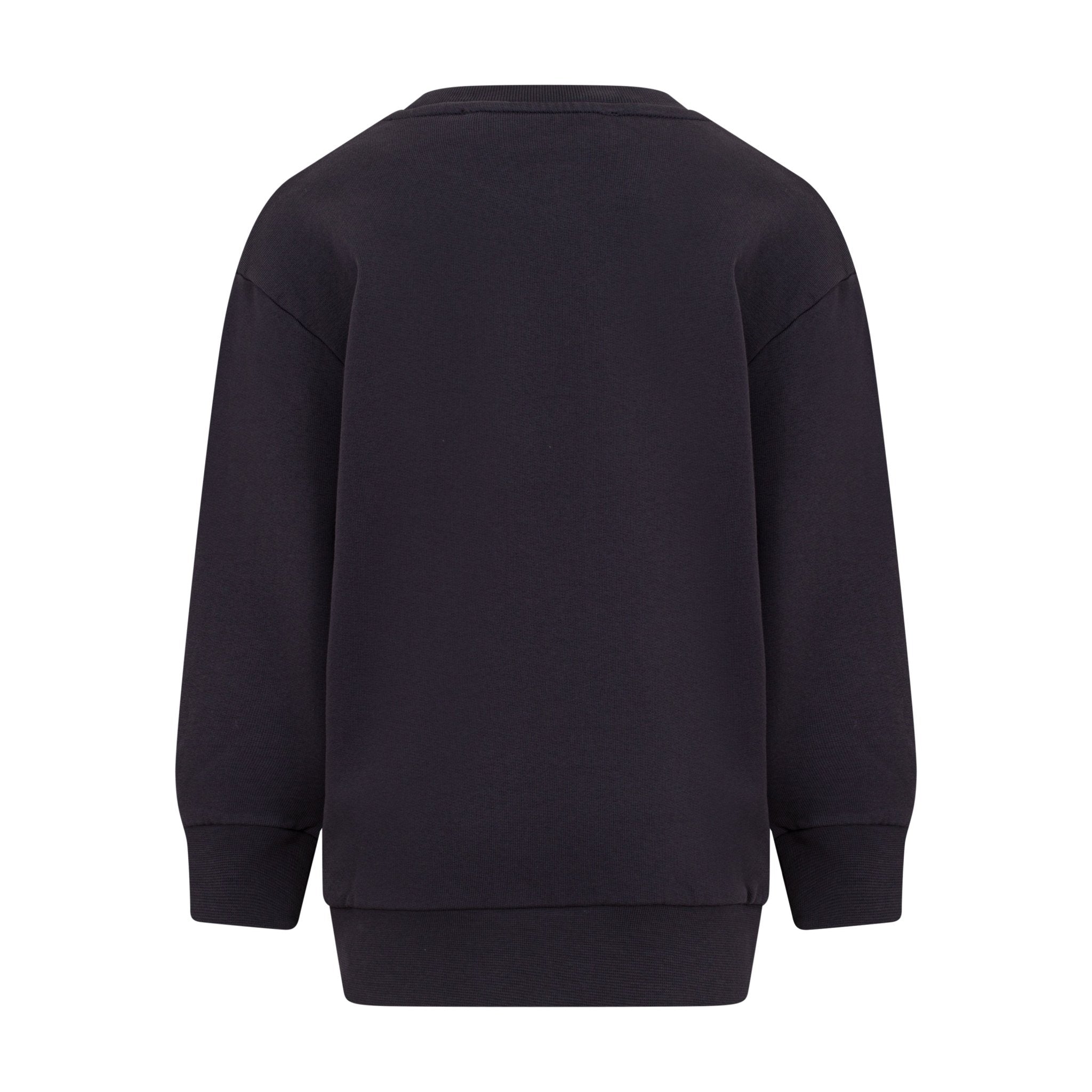 ETROPegasus Motif Sweatshirt8059774010366SAVANNA