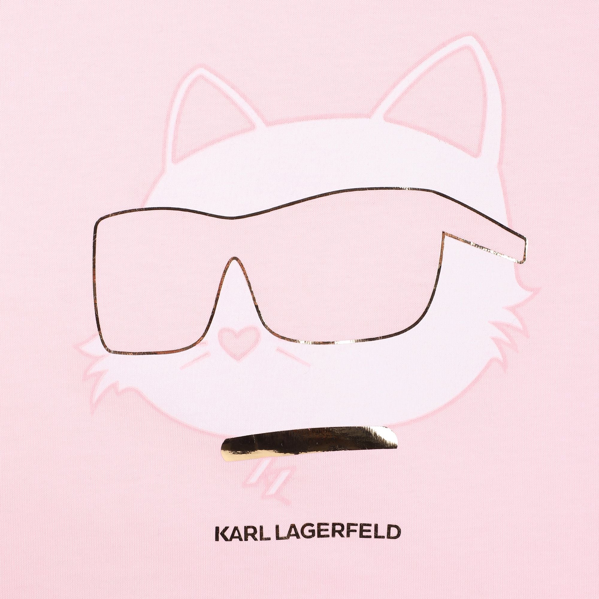 Karl LagerfeldChoupette Logo Blanket3617165843730SAVANNA