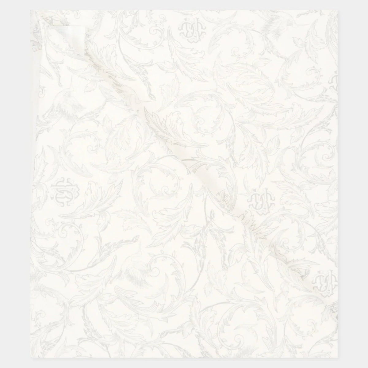 Roberto CavalliOrvantis Print Blanket8053638914296SAVANNA