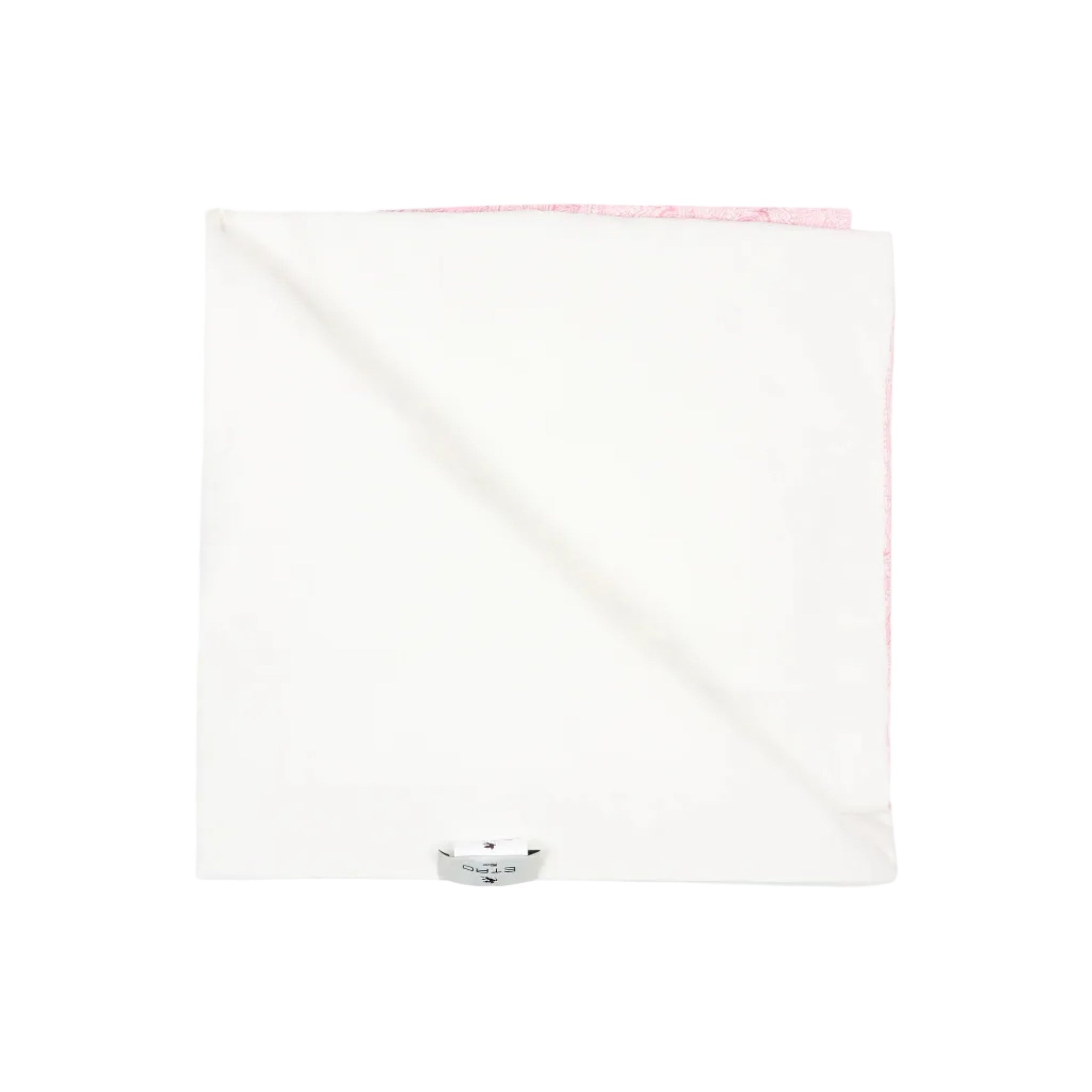 ETROPegaso Paisley Motif Blanket8059774272269SAVANNA