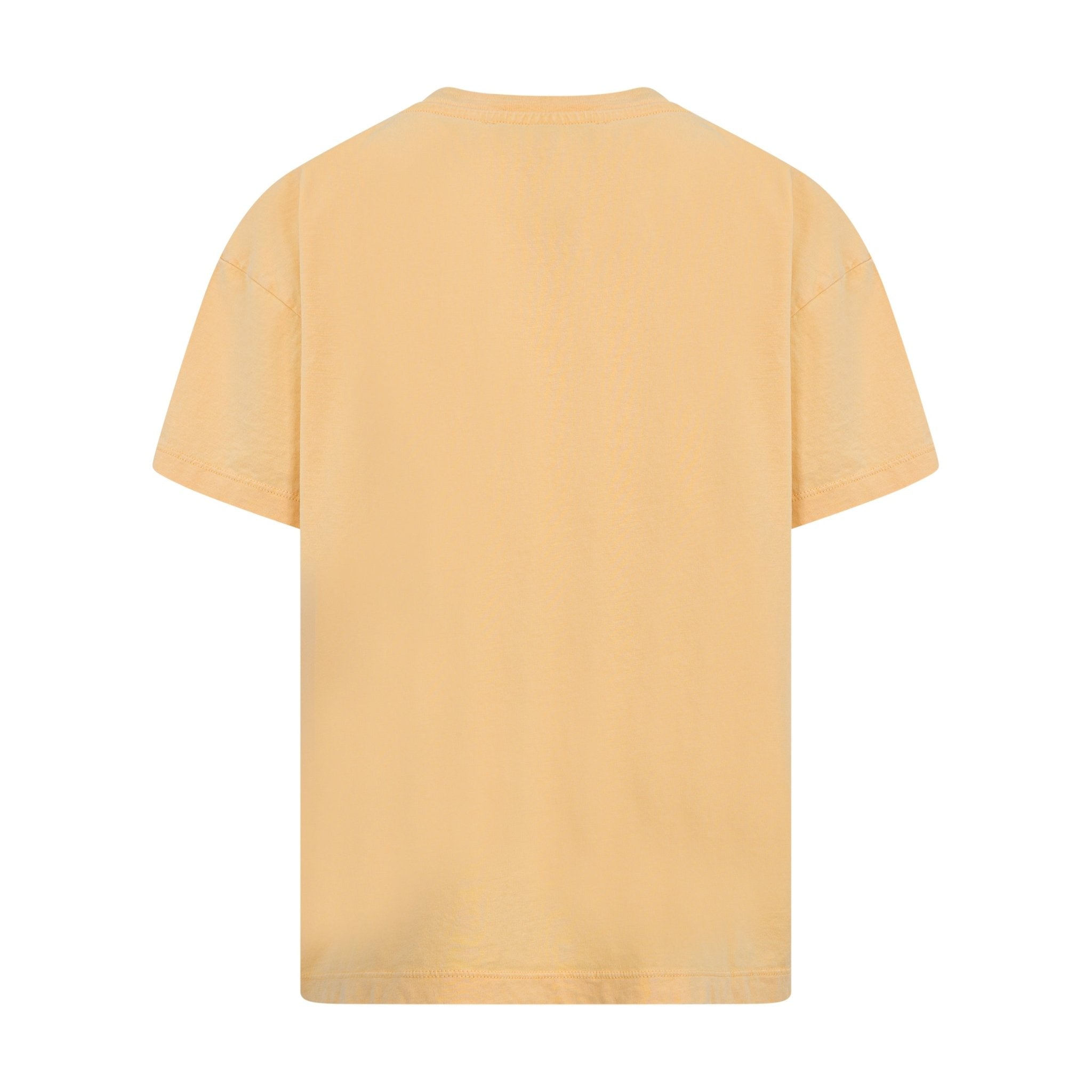 ETROPegasus Print T-Shirt8055178826190SAVANNA