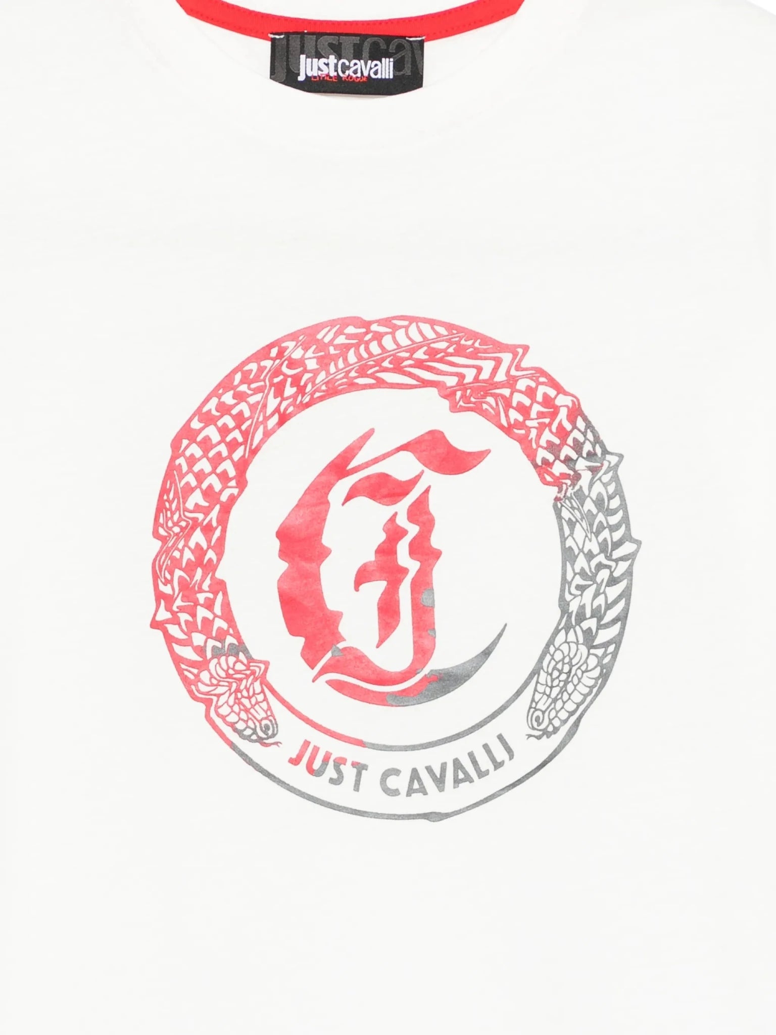 Just CavalliShort - Sleeved T-Shirt8053638509614SAVANNA